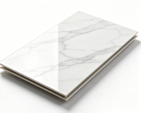 Panneau mural composite en cristal de carbone de qualité supérieure, anti-collision, avec revêtement UV, noyau SPC renforcé absorbant les chocs