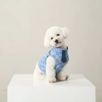 Veste pour chien en polyester écologique, mignonne et adorable, tendance, pour le printemps et l'été, vente chaude