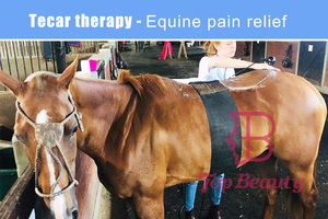 Tecartherapy penggunaan hewan anjing kucing kuda pereda nyeri gelombang pendek Diathermy mesin pemulihan fisioterapi hewan peliharaan - Product Image 5