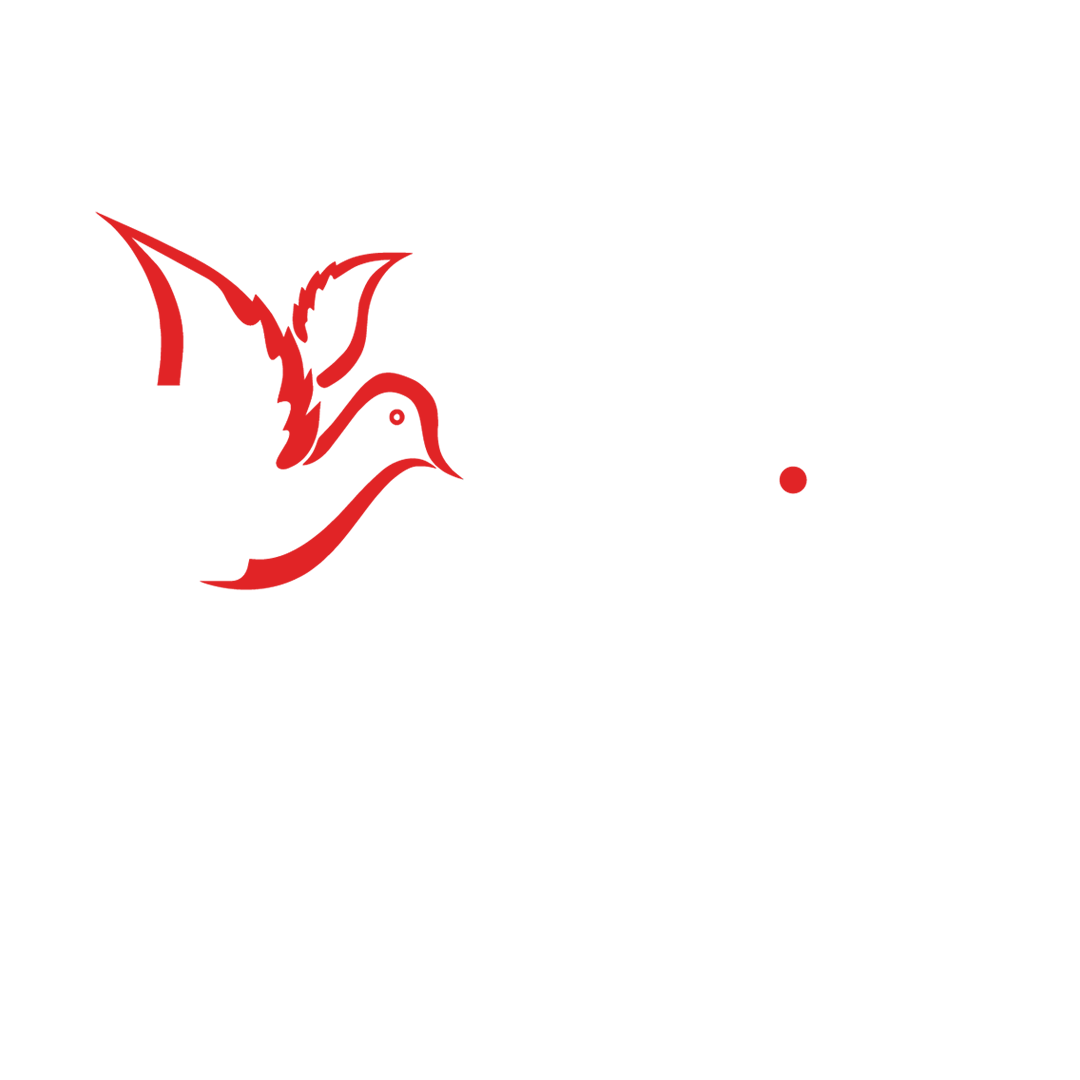FLYBIRD INTERIOR PRODUCTS PRIVATE LIMITED logo