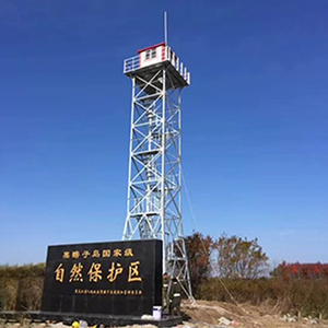 Shenghong thép mạ kẽm lookout & Quan sát tháp Viễn Thông 30m Chiều cao GB/ANSI/TIA-222-G tiêu chuẩn 50 năm tuổi thọ - Product Image 3