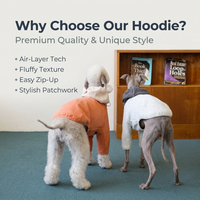 Vêtements pour animaux de compagnie à deux pattes avec fermeture éclair toutes saisons, vente en gros, logo personnalisé OEM ODM, couche d'air respirante, super doux, sweat à capuche patchwork pour chien