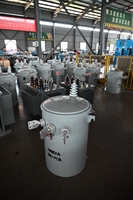 IEEE/ANSI/IEC Standard 50kva 7.62/13.2-120/240V Monophasé Immergé Dans L'huile Type Pôle Transformateur Monté OEM Pris En Charge