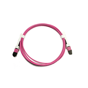 Ai Data Center ใยแก้วนำแสง100G MTP MPO มัลติโหมด OM4<span class=keywords><strong>สาย</strong></span>เคเบิลใยแก้วนำแสง Plenum 12F 40/100G 10M - Product Image 5