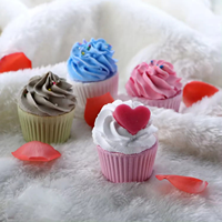 Coffret Cadeau de Bombes de Bain Effervescentes pour Cupcakes, Marque Privée, Douces pour les Enfants, Bombes de Bain Relaxantes pour Femmes