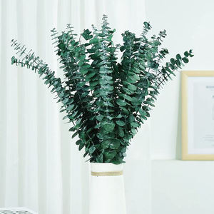 Personnalisé Professionnel Décoratif Preseved l Plante Fleur Feuilles D'eucalyptus - Product Image 1