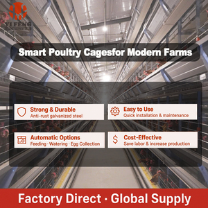 Lồng gà thương mại YIFENG mới để nuôi gà đẻ trứng, loại lồng tầng tự động cho trang trại gà mái đẻ - Product Image 6
