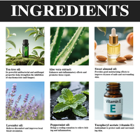 Traitement antifongique des ongles à l'huile d'arbre à thé et à l'aloe vera, solution réparatrice pour les ongles des pieds et des mains, restaure la santé des ongles