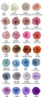AYOYO Roses fraîches conservées de 2-3 cm, roses éternelles, têtes de roses réelles, fleurs décoratives pour cadeau de la Saint-Valentin 2026