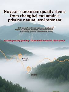 Grandi fette di pechino Tongrentang americano Ginseng genuino tonico montagna Changbai tè ufficiale integratori nutrizionali - Product Image 4