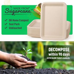 Plateaux alimentaires jetables écologiques de 14 pouces, grandes assiettes en papier résistantes, compostables, en bagasse de canne à sucre, pour <span class=keywords><strong>homard</strong></span> - Product Image 3