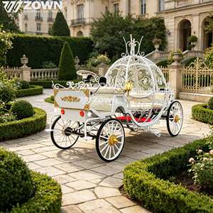 Carruaje Eléctrico de Lujo con Diseño de Calabaza, Vehículo Turístico sin Caballos para Actividades de Celebración en Resorts Panorámicos y Bodas - Product Image 1