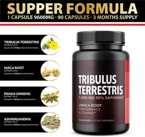 Pasokan JULONG Label pribadi ekstrak <span class=keywords><strong>Tribulus</strong></span> terreseis dengan Maca Panax Ginseng <span class=keywords><strong>Tribulus</strong></span> kapsul ekstrak