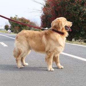 KingHon - Juego de Correa y Collar de Nailon Trenzado para Perro, Disponible en 26 Colores, Correa para Mascotas al por Mayor - Product Image 6