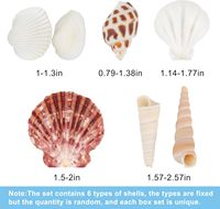 Ensemble de 90+ coquillages marins naturels, coquillages d'océan mélangés, tailles variées de 0,8 à 2,5 pouces, coquillages, coquilles Saint-Jacques et conques pour travaux manuels de plage