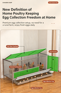 Jaula para Gallinas <span class=keywords><strong>de</strong></span> Uso Doméstico con Sistema Automático <span class=keywords><strong>de</strong></span> Desplazamiento <span class=keywords><strong>de</strong></span> Huevos, <span class=keywords><strong>de</strong></span> Alambre Galvanizado, con Cajón Recolector <span class=keywords><strong>de</strong></span> Huevos - Product Image 5