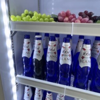 Réfrigérateur Vitrine Verticale à Porte Vitrée à Température Unique avec Refroidissement par Ventilateur, Présentoir Commercial et Domestique pour Cola, avec Éclairage LED