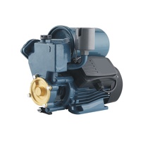 RUIQI pabrik PS150B kualitas tinggi 0.37KW priming otomatis elektrik 0.5HP harga pompa tekanan perifer PS200 pompa air otomatis