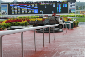 Tapis <span class=keywords><strong>de</strong></span> sol pour écuries <span class=keywords><strong>de</strong></span> chevaux à vendre / Pavés en caoutchouc pour écuries / Tapis en caoutchouc pour animaux - Product Image 6