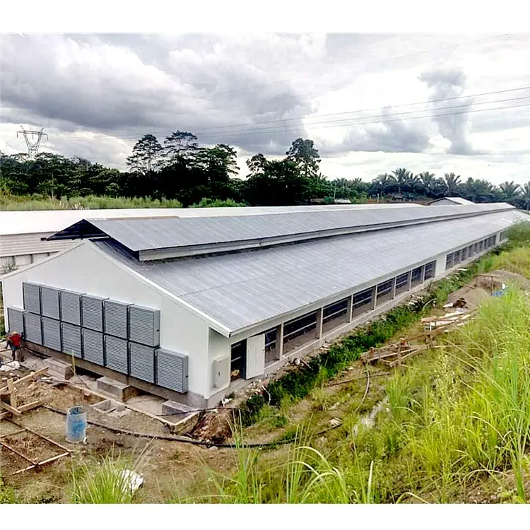 Struktur baja Modern, biaya bangunan rumah unggas prefab peternakan ayam tergalvanis