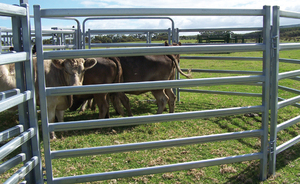 Panneau de clôture pour vaches de ferme détachable et antirouille 1,8*2,9m, galvanisé à chaud argenté, taille personnalisée, solution complète pour clôture - Product Image 6