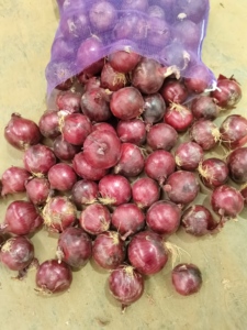 Oignons rouges de Chine de qualité supérieure, 100 % frais, cueillis à la main et aromatiques, pour la cuisine, disponibles à un <span class=keywords><strong>prix</strong></span> compétitif - Product Image 5