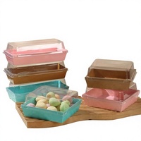 Boîtes à gâteaux rectangulaires jetables en papier kraft, emballage plastique avec couvercle pour desserts, pain et sandwichs, usage industriel