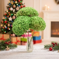 Fleur séchée 20-25cm pour décoration intérieure, Hortensia préservé pour Anna Hydrangea, fournitures de bouquets de plantes décoratives