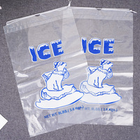 Sacs à glace jetables transparents en PE de qualité alimentaire avec cordon de serrage, tailles personnalisables, impression sérigraphique, vente en gros pour fabricants