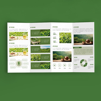 Brochure promotionnelle pliée de plusieurs pages fabriquée en usine Promotion de produits en papier brillant Menu de promotion d'entreprise
