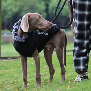 Vente en gros de vêtements d'hiver chauds à rayures réfléchissantes Manteau pour chien - Product Image 6