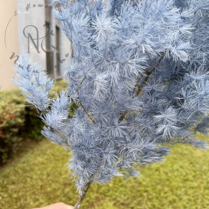 <span class=keywords><strong>Helechos</strong></span> de Helecho Ming Bohemios, <span class=keywords><strong>Helechos</strong></span> Preservados, Ramas Secas Naturales, Ecológicas, Hechas a Mano, para el Día de San Valentín, Año Nuevo Chino, Campamentos y Alojamientos - Product Image 4