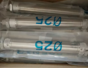 NOUVEAU DSNU-63-160-P-wbrA 196016 Cylindre - Product Image 1