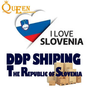 शिन्ज़ेन चीन में रसद एजेंट समुद्री एयर dp शिपिंग द्वारा स्लोवेनिया एफसीएल dp - Product Image 2