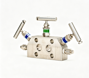Colector Integral de 5 Vías Rosemountt R305 1/2 NPT Hembra con Válvulas de Igualación y Ventilación - Product Image 5