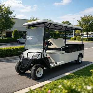 Carrito de Golf Eléctrico de 2 Pasajeros con Color Personalizado, Frenos de Disco, Amortiguación y Capacidad de Carga - Product Image 1