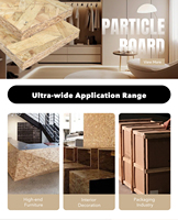 Panneaux de construction écologiques, panneaux de particules, panneaux intérieurs en PVC, panneaux OSB 18 mm 22 mm, panneaux de particules de première qualité pour plafond