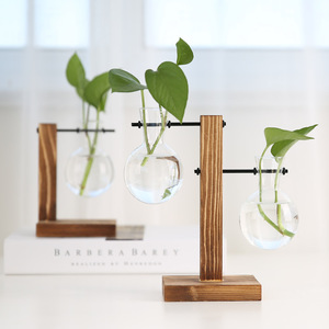 Estación de propagación de plantas Terrario de plantas con soporte de madera Regalos únicos de <span class=keywords><strong>cumpleaños</strong></span> de jardinería <span class=keywords><strong>para</strong></span> mujeres Amantes de las plantas Jarrones de vidrio - Product Image 3