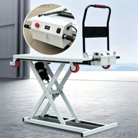 Plataforma Elevadora Hidráulica Eléctrica a Batería, Carretilla de Cuatro Ruedas con Capacidad de Carga de 300 kg, Venta al Por Mayor de Fábrica, OEM