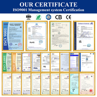 Lampadaire solaire LED WERISE IP65 pour éclairage extérieur, tout-en-un, avec charge MPPT, contrôle IA et essuie-glace