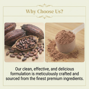 Poudre de Collagène Riche en Protéines pour Femmes, Saveur Chocolat Intense, Peptides de Collagène et Protéines de Lactosérum, Sans Gluten, Vente en Gros - Product Image 2