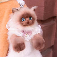 Sac à dos chat siamois en peluche moelleuse, remplissable de coton PP, idéal pour les filles – Nouveauté très prisée