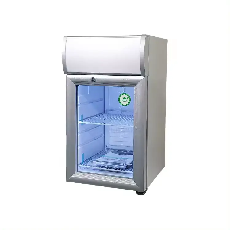 NUELEAD Nuevo 2024 25L Mini Refrigerador de exhibición comercial Almacenamiento de alimentos congelados Refrigerador promocional Congelador de helados