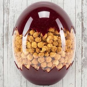 50 мл и 500 мл пластиковые бутылочки для домашних животных с насосом для шампуня, лосьона, солнцезащитный крем, лекарственный сок, кофейная сода, бутылка-спрей для собак, чашка для собак - Product Image 1