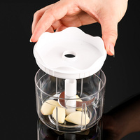 Compacte, lichtgewicht, draagbare, draadloze, waterdichte elektrische keukenhulp voor het hakken van groenten, peper, gember en knoflook (250ml)