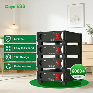 Deye Lifepo4 Pil 48v 51.2v 100ah 200ah 5.12kwh Raf Montajlı Lityum Pil Lipo Spring Serisi Se-g10.2 Ev Enerji Paketi için - Product Image 4