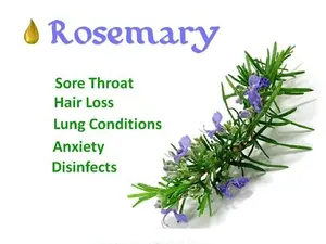 Factory Supply Private Label Pure Natural Essential Oil Rosemary Oil Hair Growth Rosemary Essential Oil In Bulk