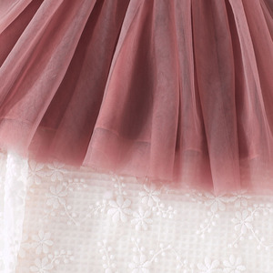 ชุดเดรสยาวสำหรับเด็กผู้หญิง ลายพิมพ์กำมะหยี่ แต่งผ้าตาข่าย ประดับกระดุม สำหรับงานปาร์ตี้ แฟชั่นฤดูใบไม้ร่วงและฤดูหนาว - Product Image 6