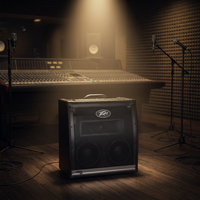 Budweiser PEAVEY KB1 KB2 KB3 KB4 KB5 Alloy Keyboard Speaker Electronic Drum and Guitar Multi-Functional Practice Amplifier