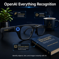 Lunettes intelligentes IA avec reconnaissance OpenAI : identification instantanée d'objets, de texte et d'images, caméra 13MP, résolution 4K